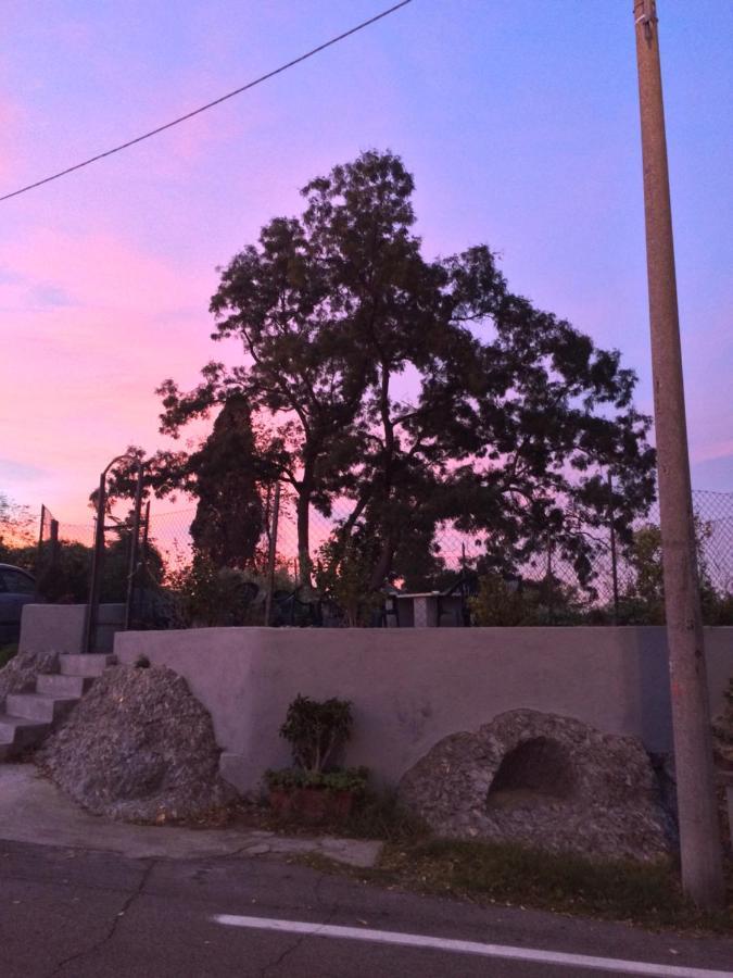 B&B Monte Donato ボローニャ エクステリア 写真