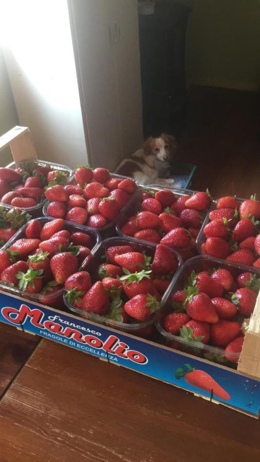 B&B Monte Donato ボローニャ エクステリア 写真